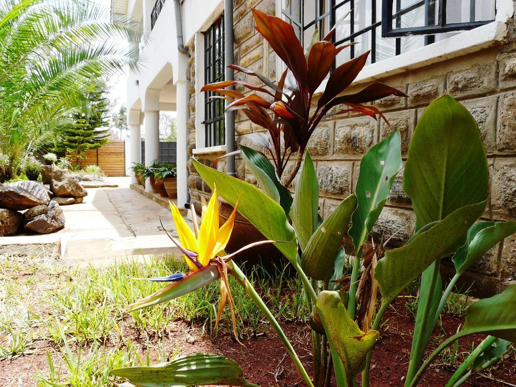 Maison Mitwaba Nairobi Exterior photo